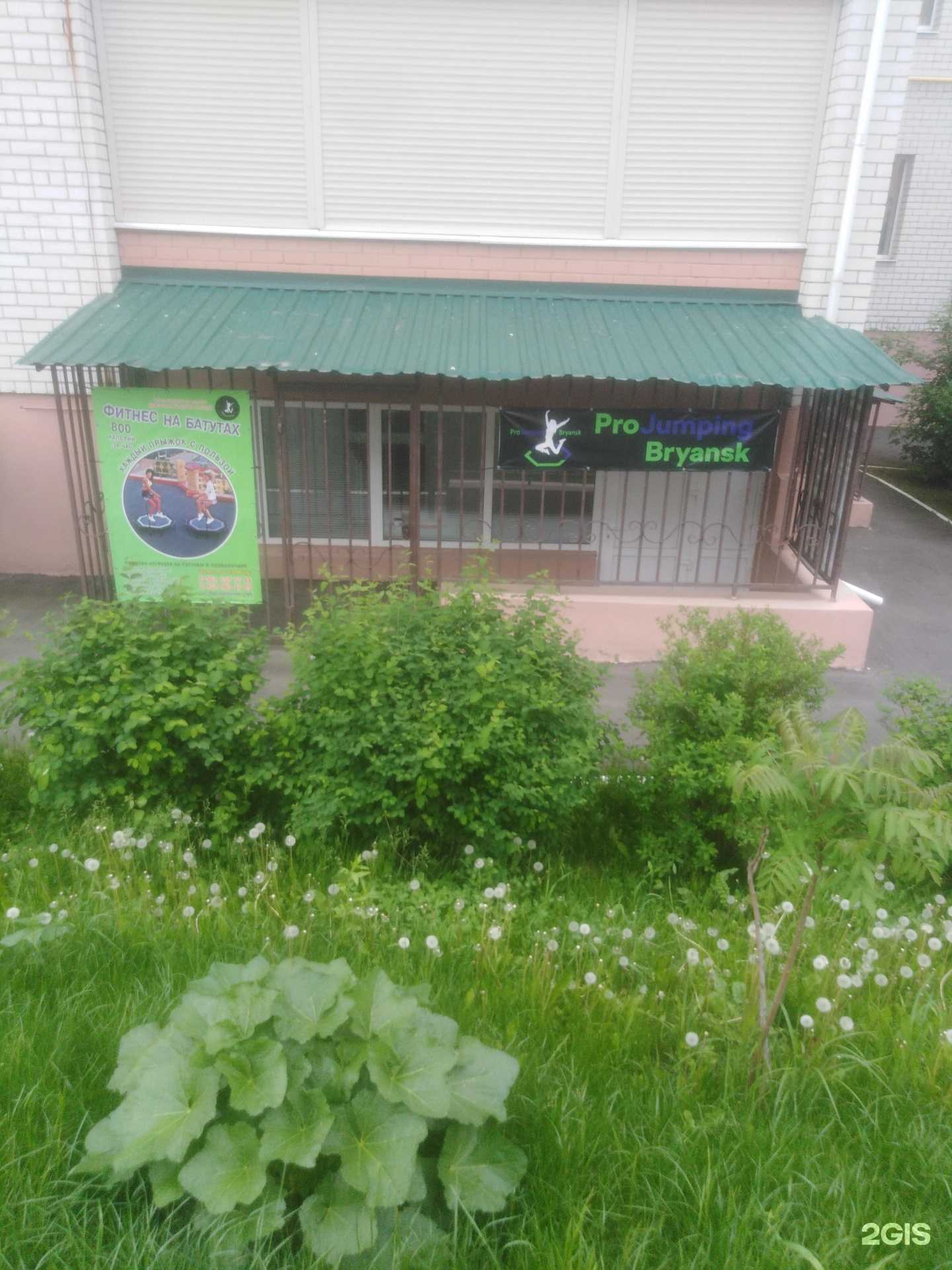 Отзывы на компанию Projumping32 в г. Брянск c фото