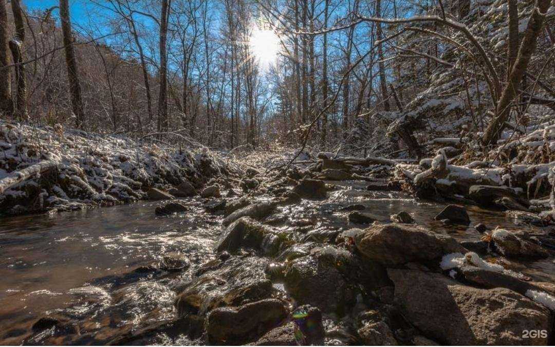 Отзывы на компанию Академия фотографии в г. Уссурийск c фото