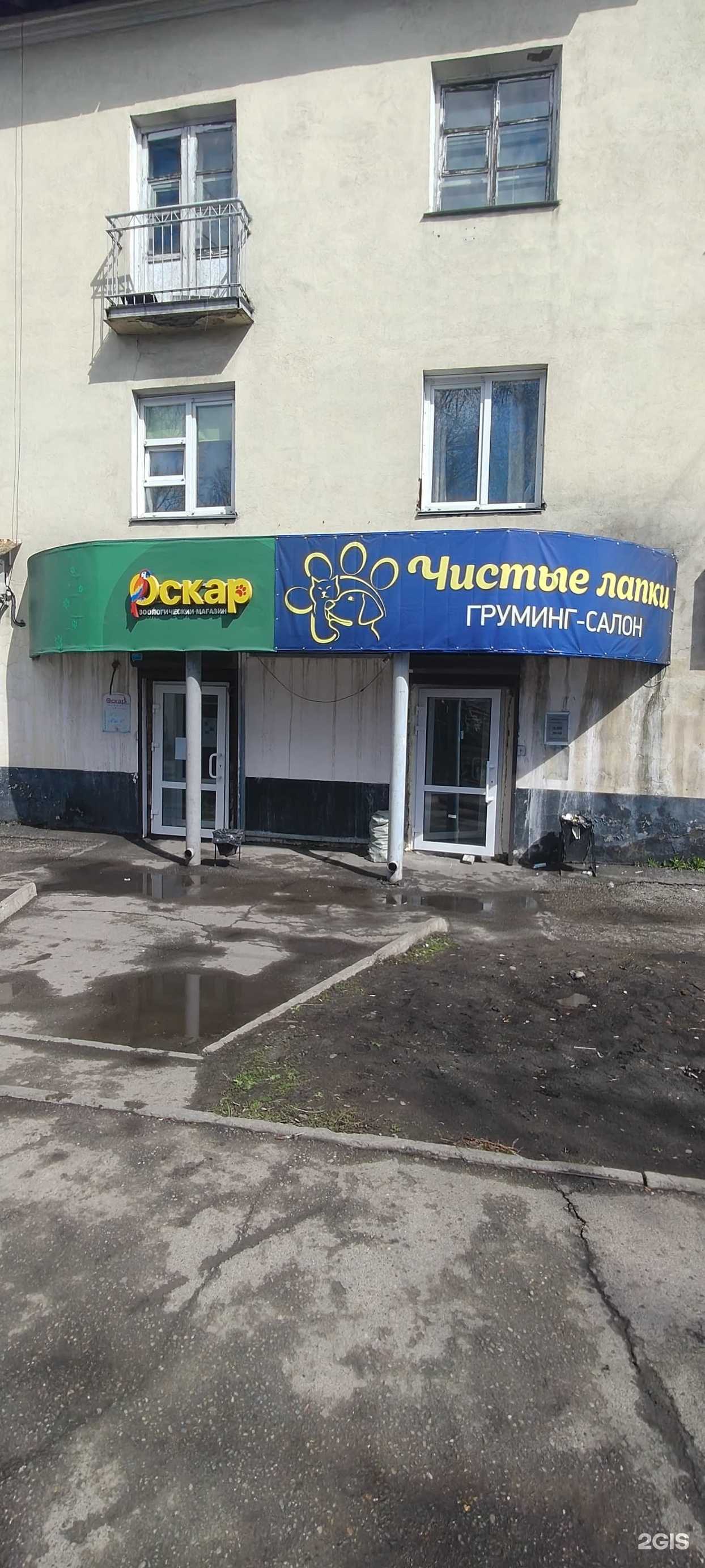 Отзывы на компанию Чистые лапки в г. Новокузнецк c фото