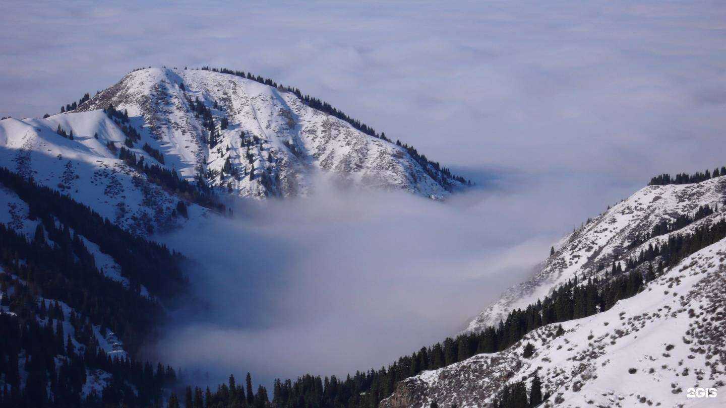 Отзывы на компанию Vital travel в г. Новосибирск c фото