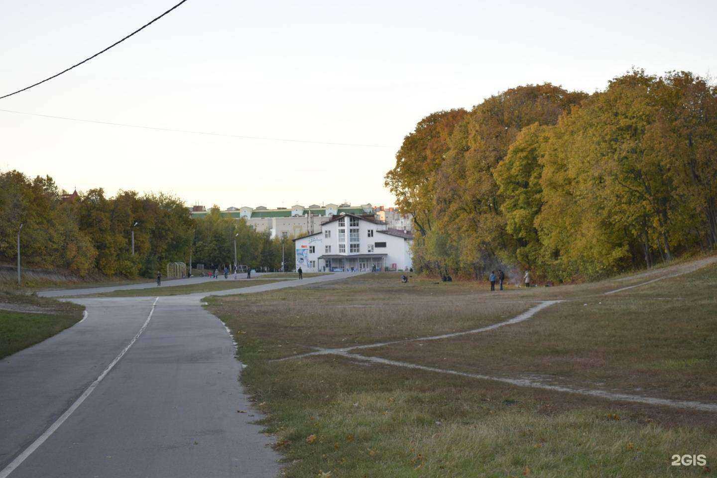 Отзывы на компанию ProCat в Саратове c фото - фотография 2 из 2