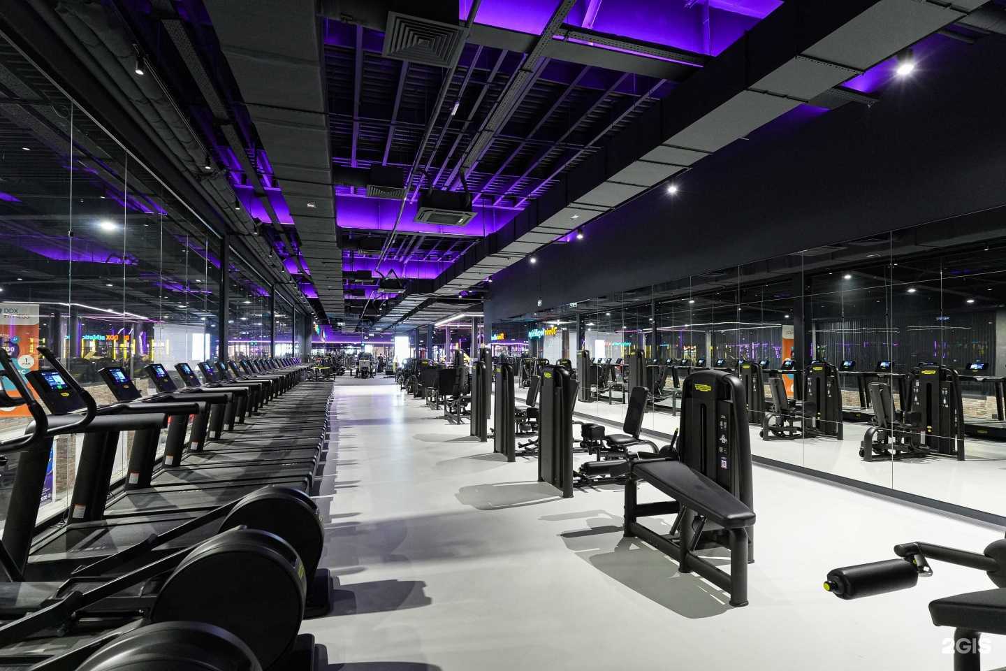 Отзывы на компанию DDX Fitness в Нижневартовске c фото