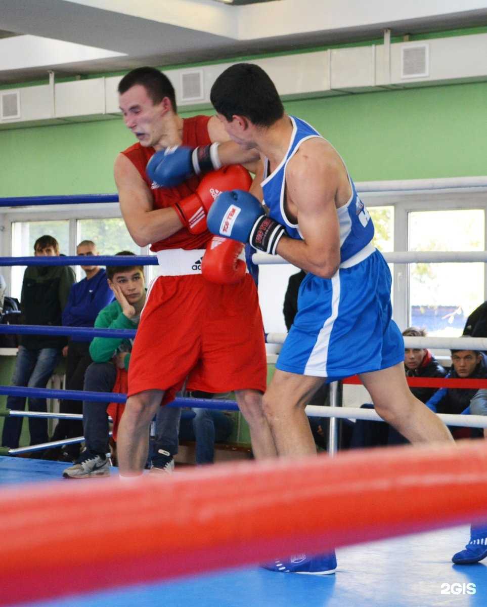 Отзывы на компанию СШОР по боксу в Новосибирске c фото