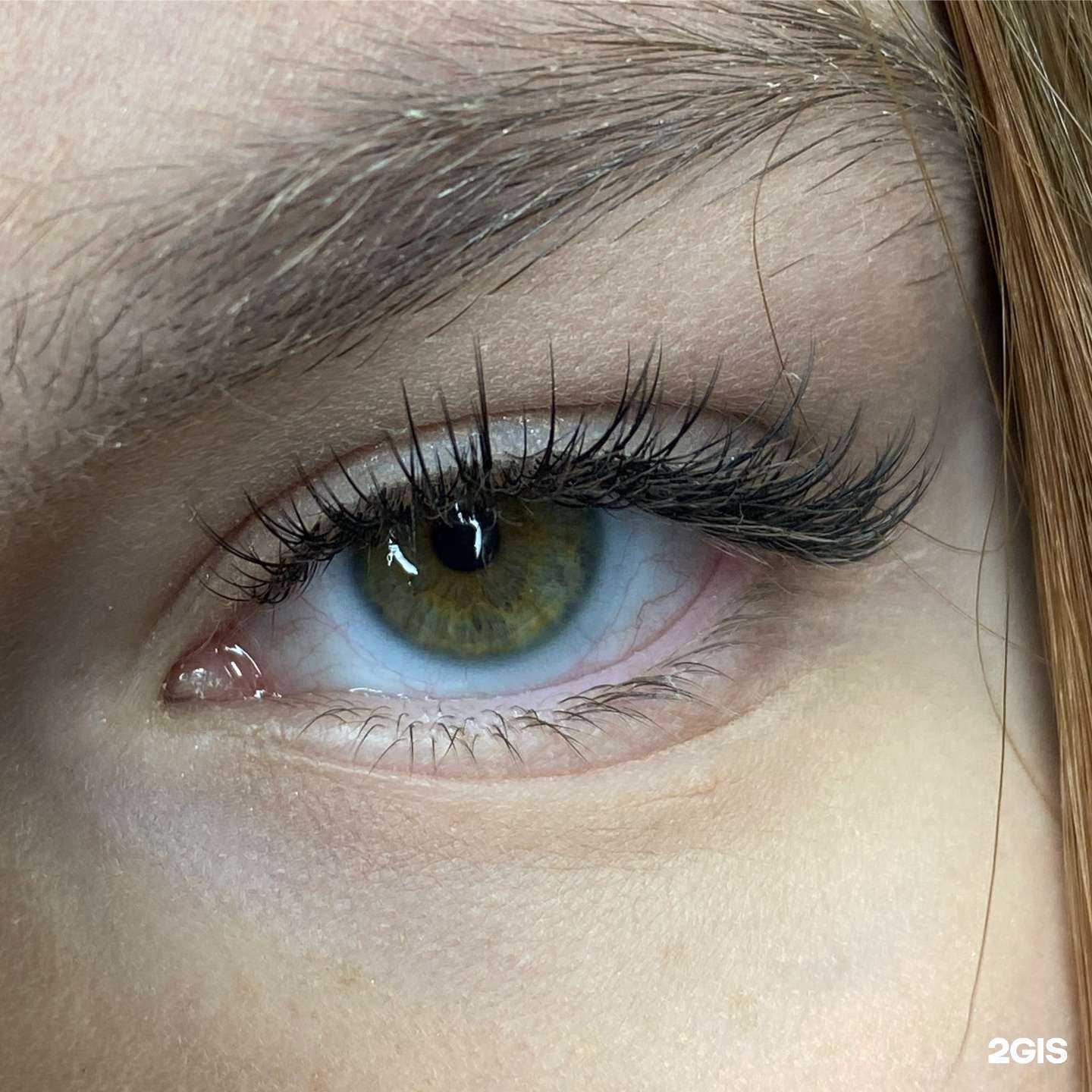 Отзывы на компанию L.lash в Новосибирске c фото