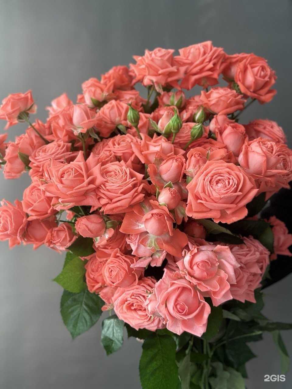 Отзывы на компанию Bella_ Rosa flowers в Тольятти c фото