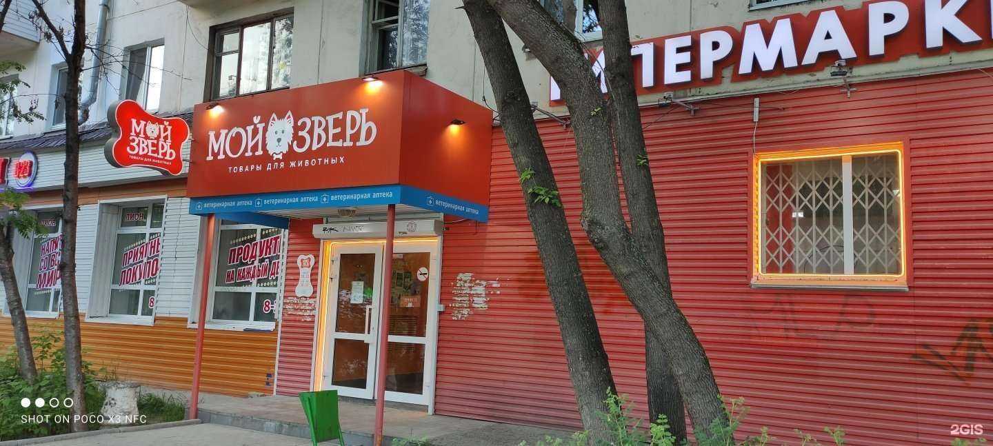 Отзывы на компанию Мой зверь в Перми c фото