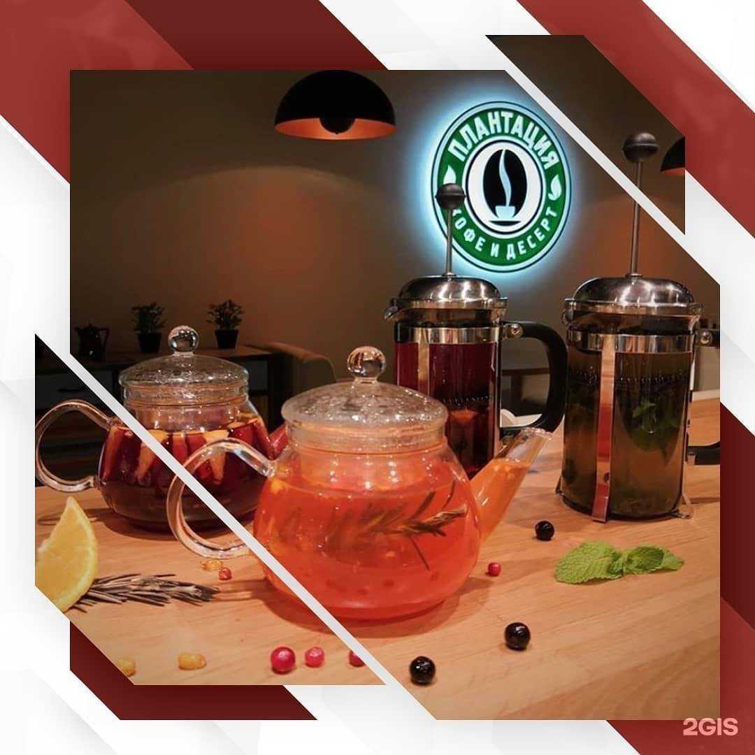 Отзывы на компанию Плантация в г. Балаково c фото