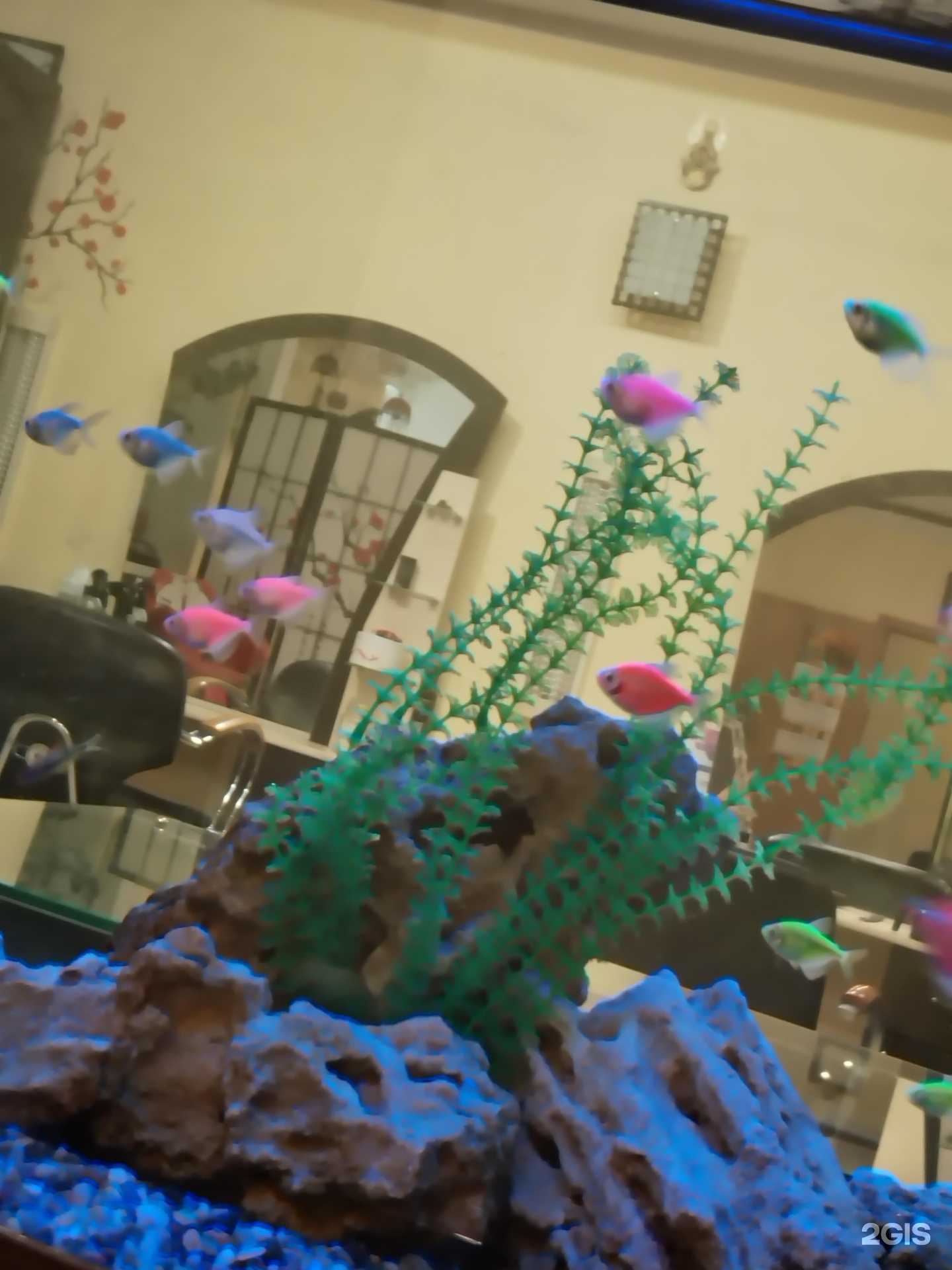 Отзывы на компанию Чародейка в г. Тюмень c фото