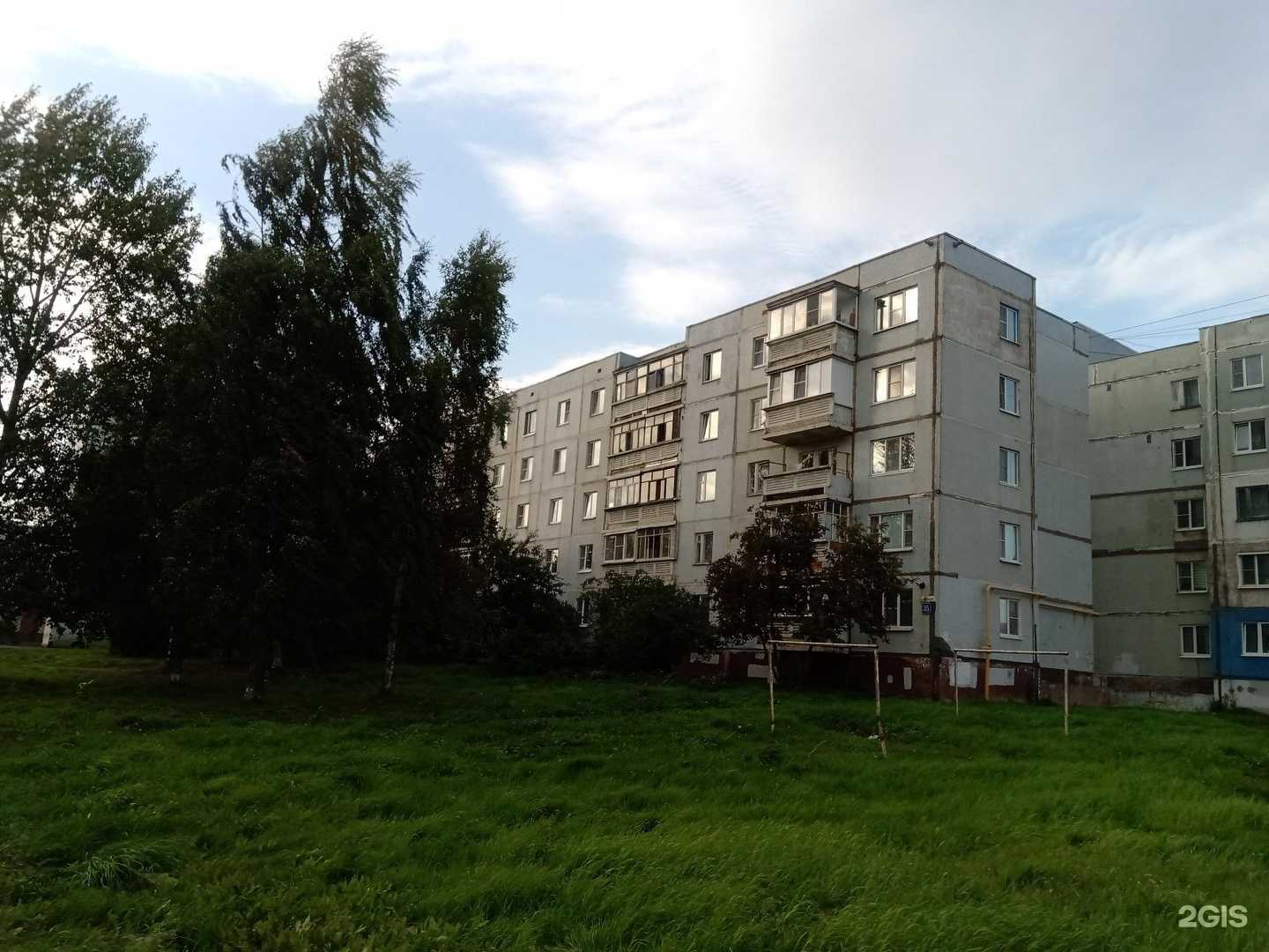 Отзывы на компанию Лиана в г. Вологда c фото