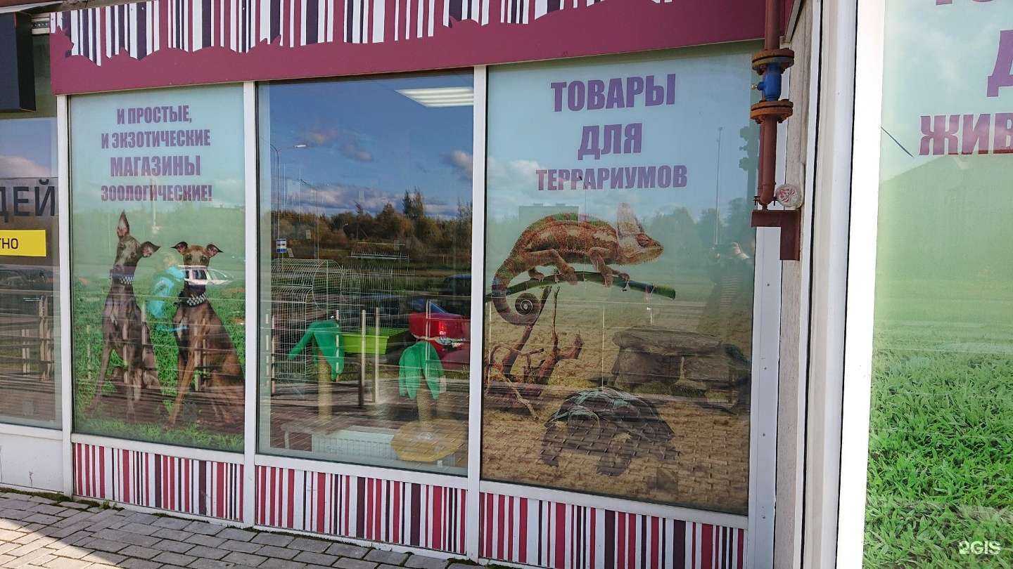 Отзывы на компанию Зоолог в Великом Новгороде c фото