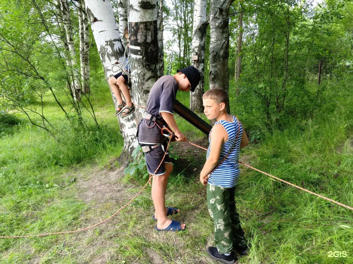 Отзывы на компанию Витязь в Рыбинске c фото