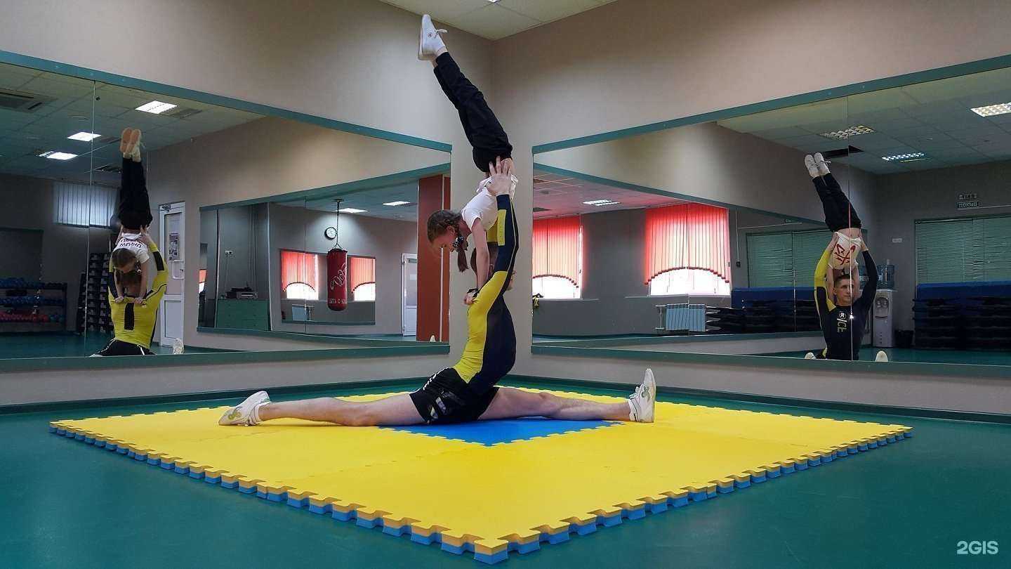 Отзывы на компанию Багира в Липецке c фото