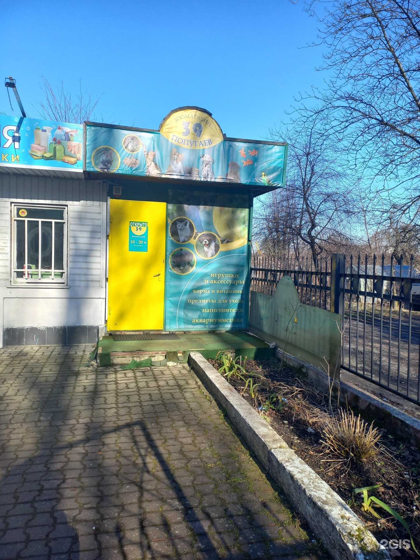 Отзывы на компанию 39 попугаев в Калининграде c фото