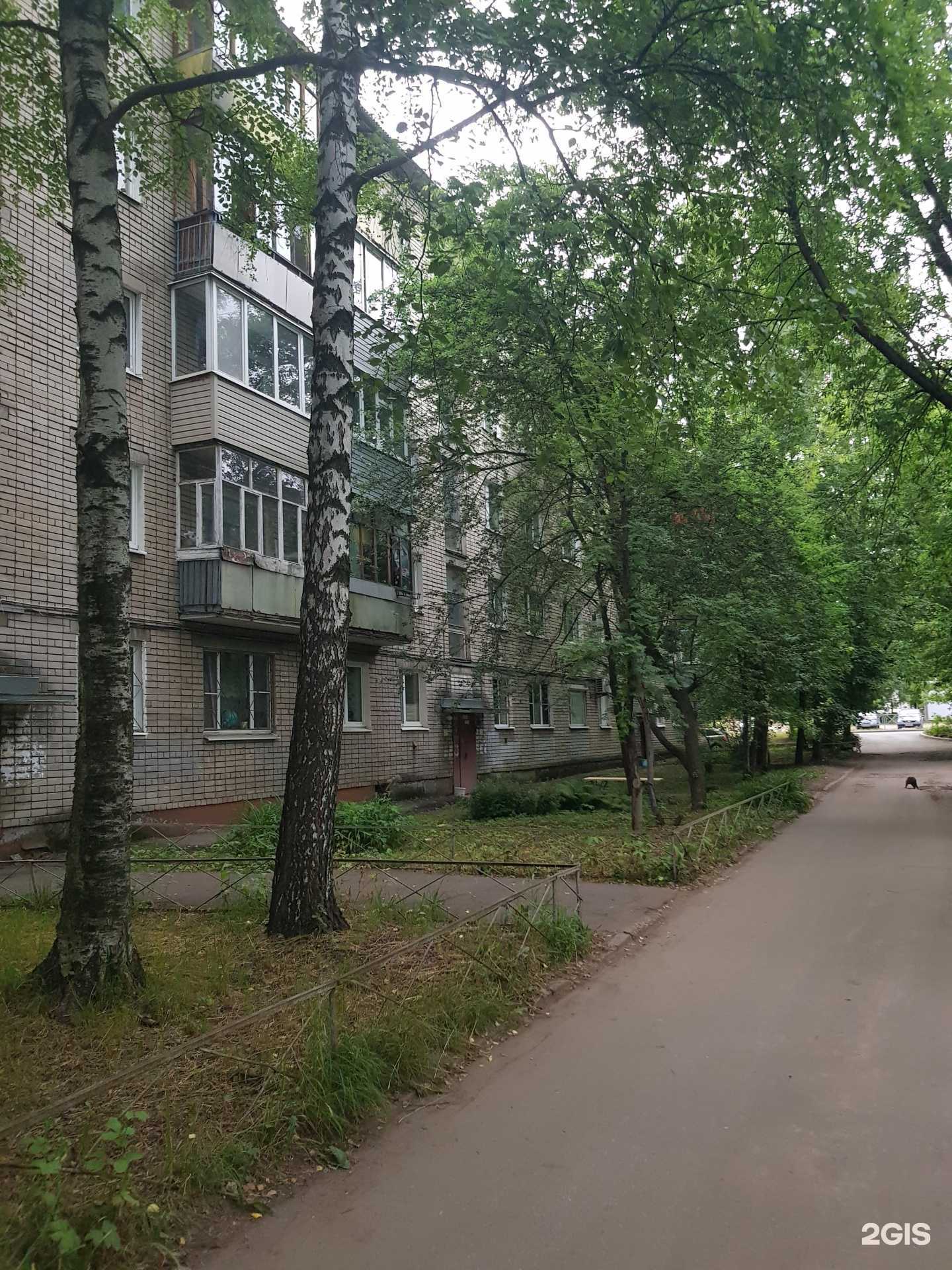 Отзывы на компанию Здравсити в г. Ярославль c фото