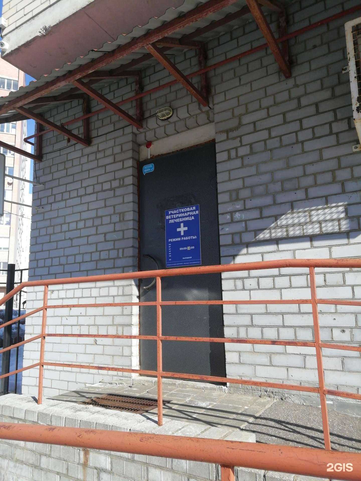 Отзывы на компанию Участковая ветеринарная лечебница в г. Ярославль c фото