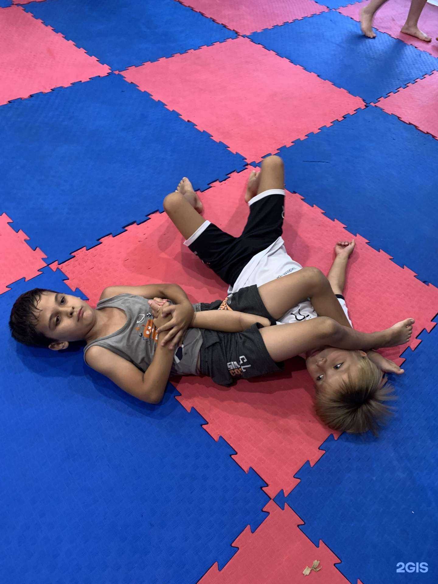 Отзывы на компанию Agate Bjj в Сочи c фото