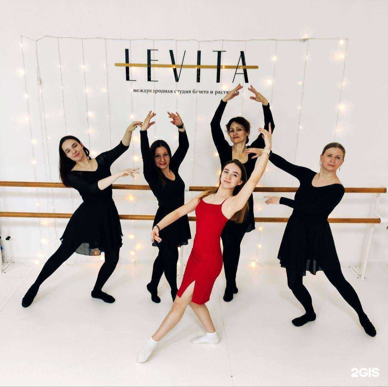 Отзывы на компанию LEVITA в г. Великий Новгород c фото