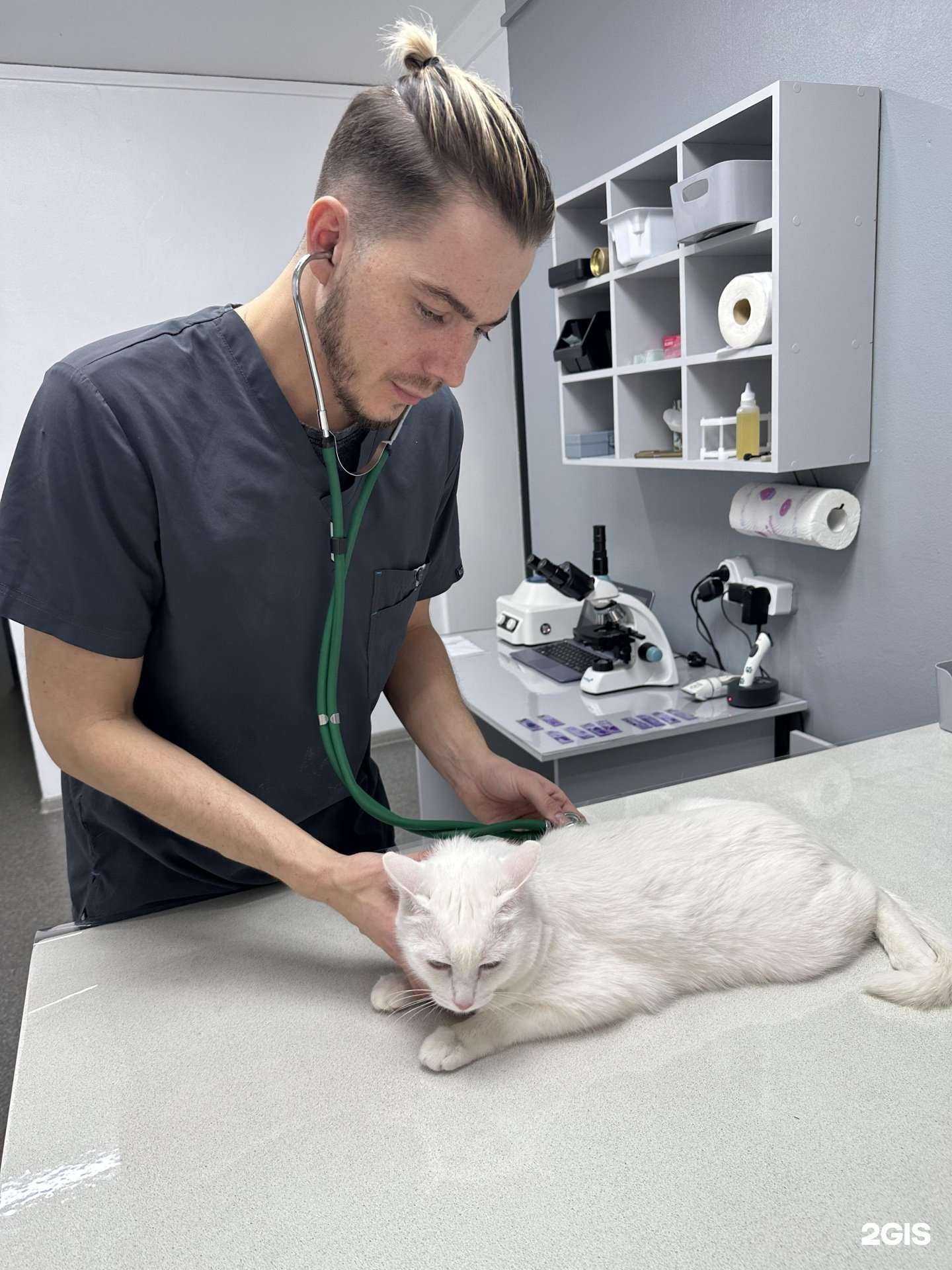 Отзывы на компанию Vet.Yamin.Clinic в г. Абакан c фото