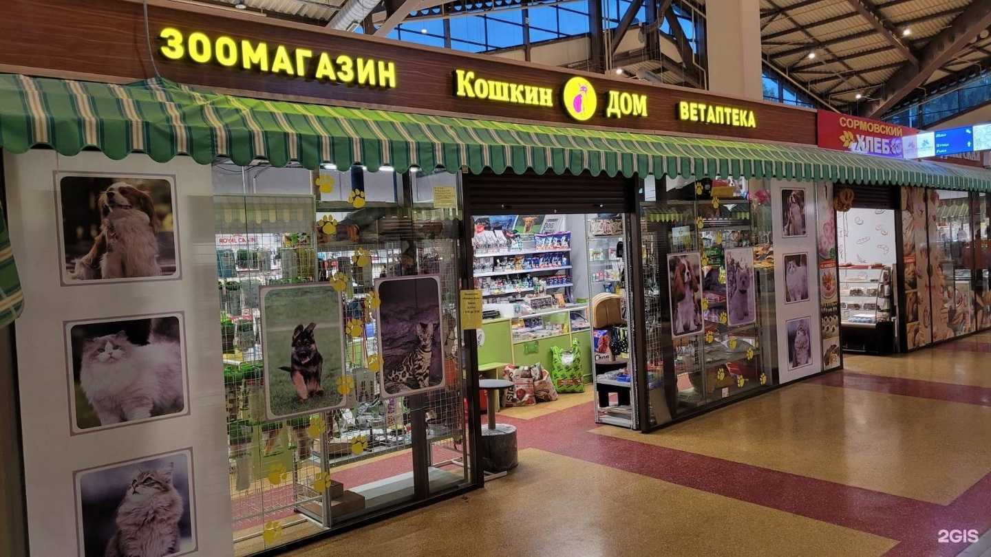 Отзывы на компанию Кошкин дом в г. Нижний Новгород c фото