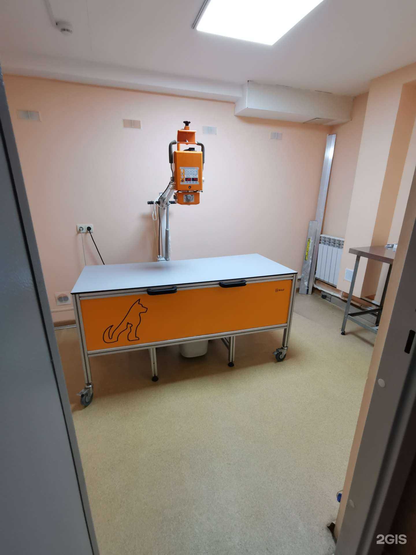 Отзывы на компанию Айболит в Смоленске c фото