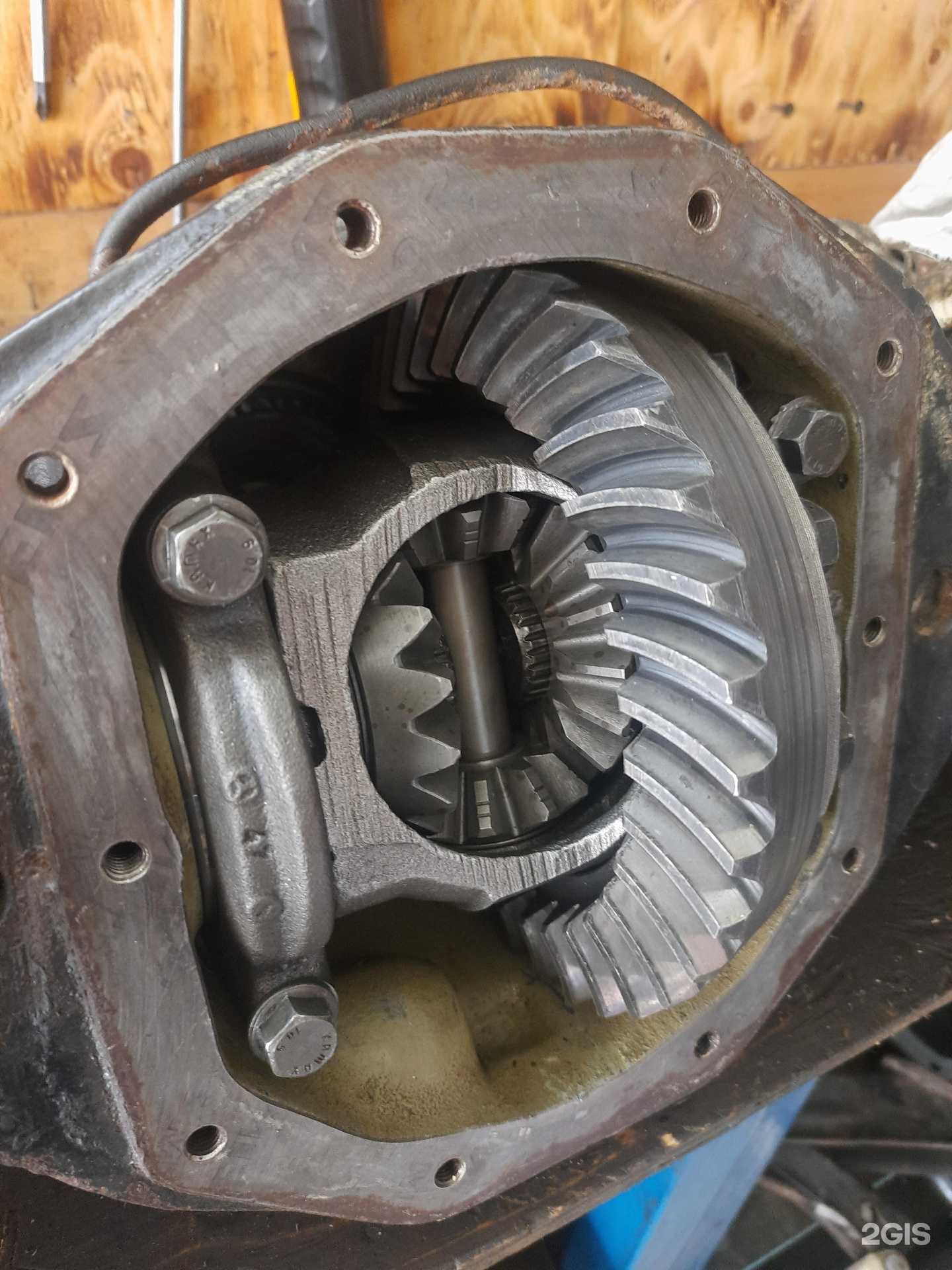 Отзывы на компанию Shark motors в Сочи c фото