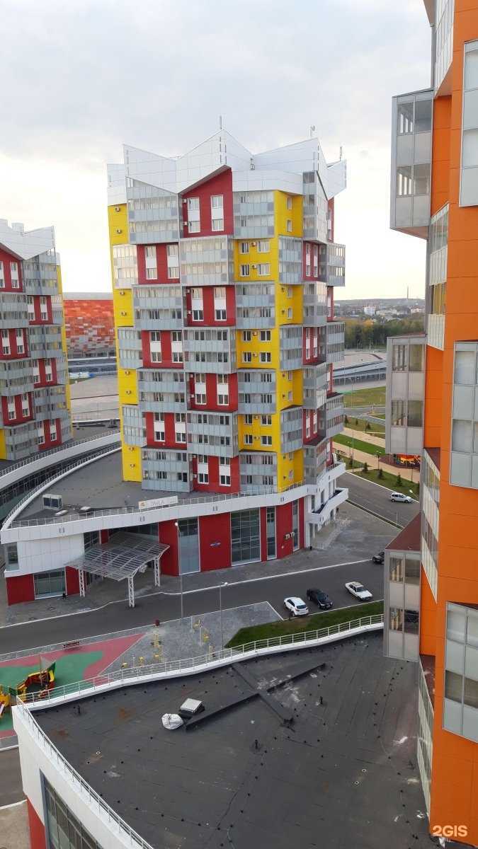 Отзывы на компанию Сирень в Саранске c фото - фотография 2 из 2