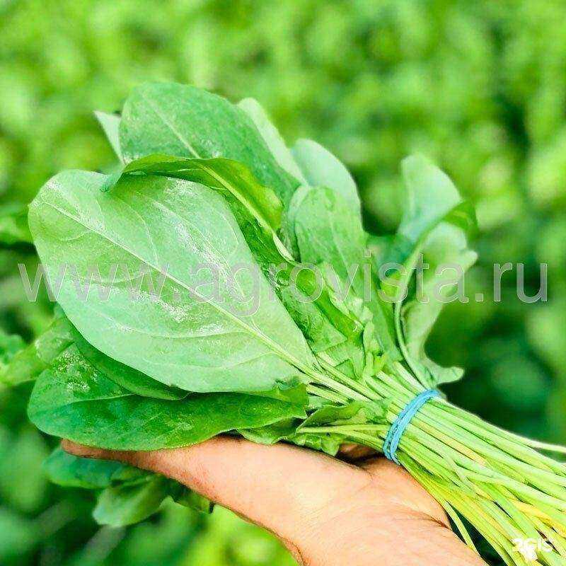 Отзывы на компанию АгроВиста в Ставрополе c фото