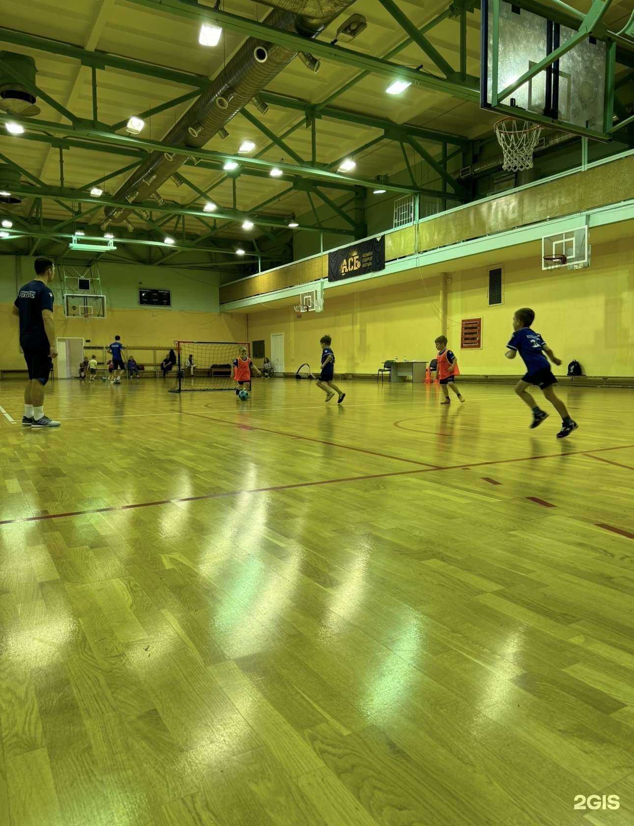 Отзывы на компанию Foxkids в Екатеринбурге c фото