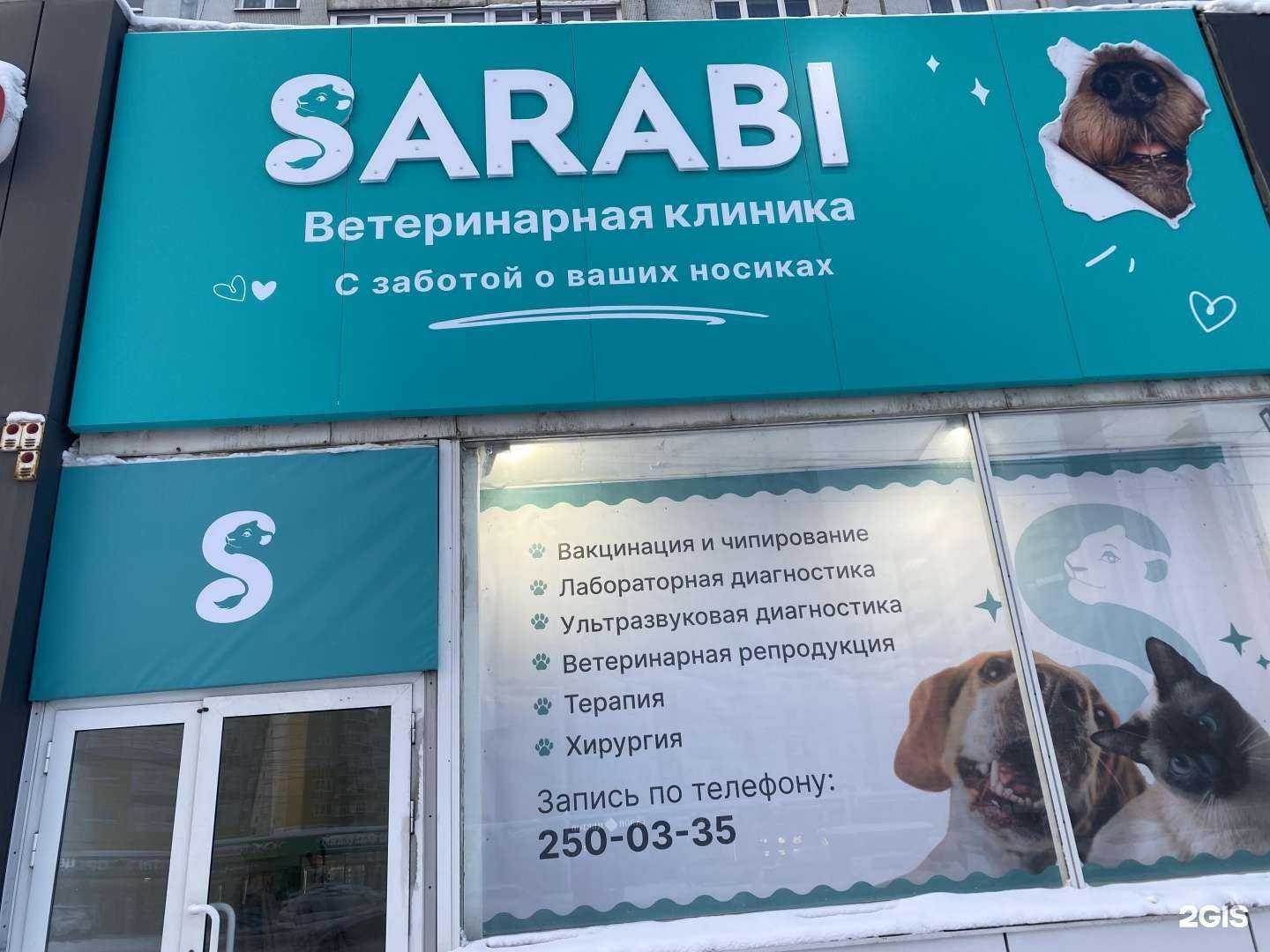 Отзывы на компанию Sarabi  в Красноярске c фото