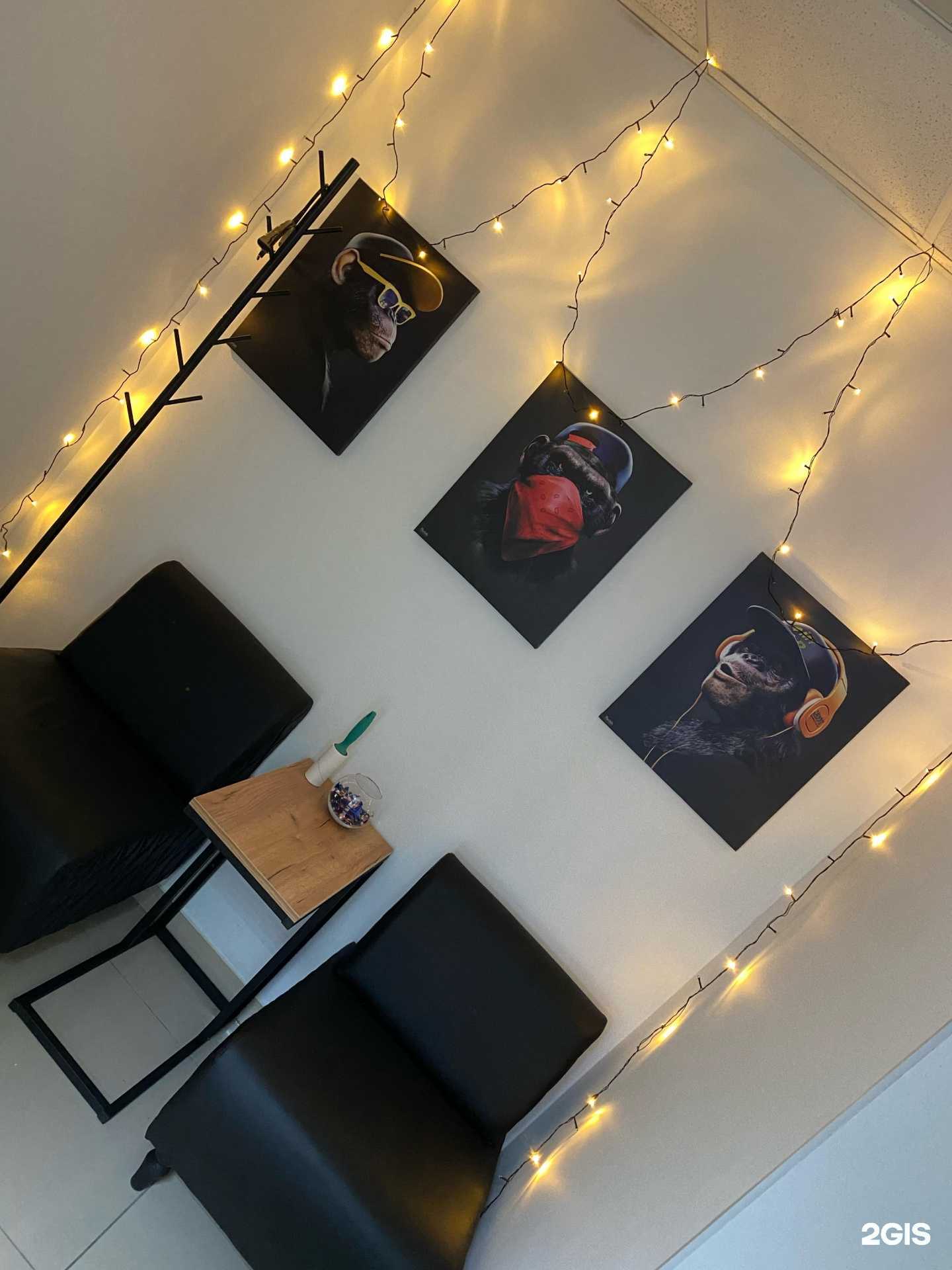 Отзывы на компанию Капсула  в г. Советск c фото