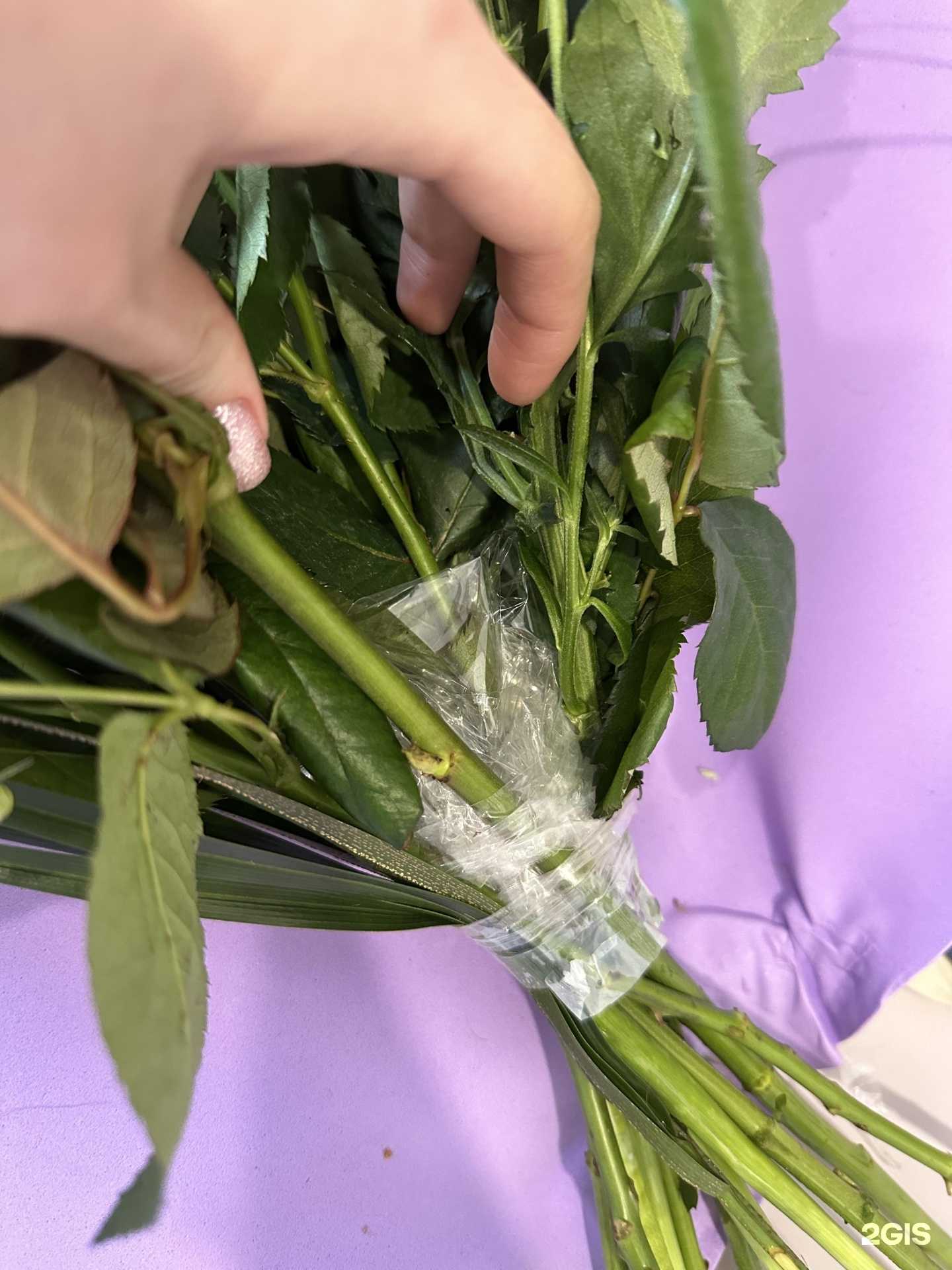 Отзывы на компанию Алые розы в Лениногорске c фото