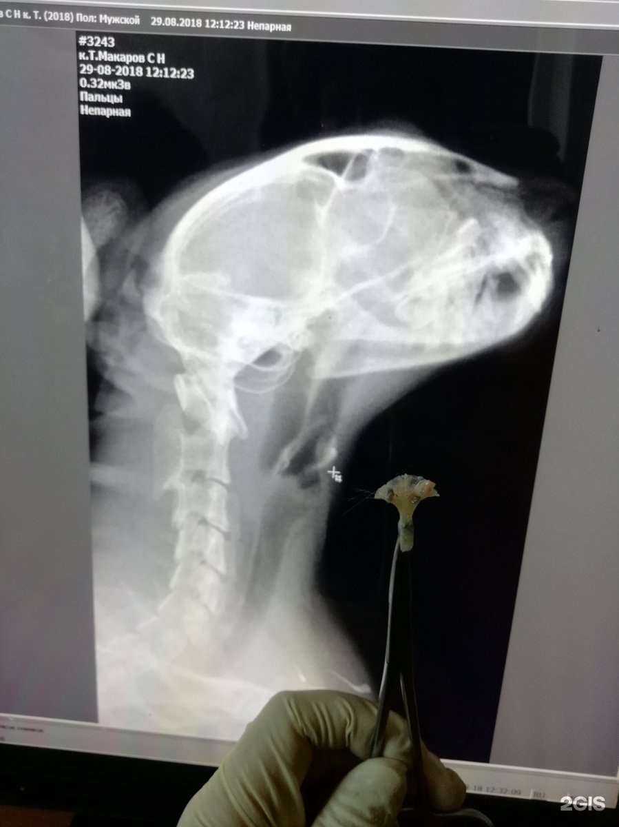 Отзывы на компанию Государственное ветеринарное управление городского округа в Нижнем Новгороде c фото