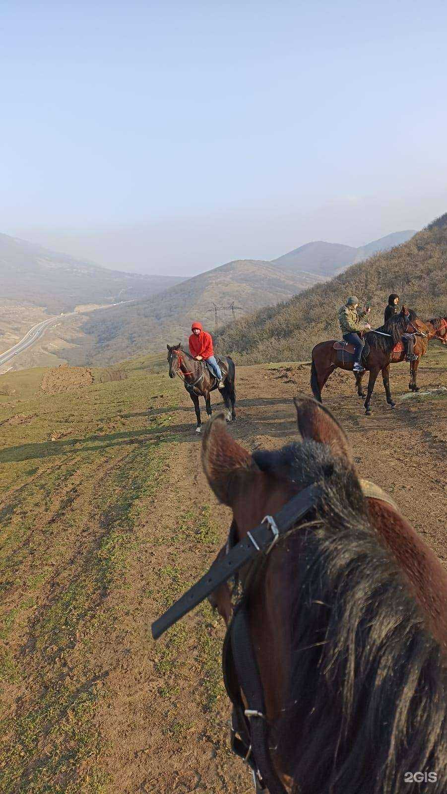 Отзывы на компанию Рысак в Махачкале c фото