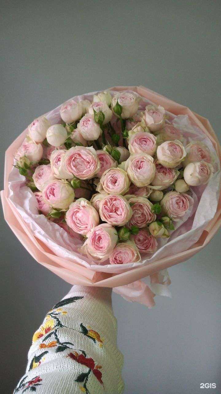 Отзывы на компанию Малина в Улан-Удэ c фото