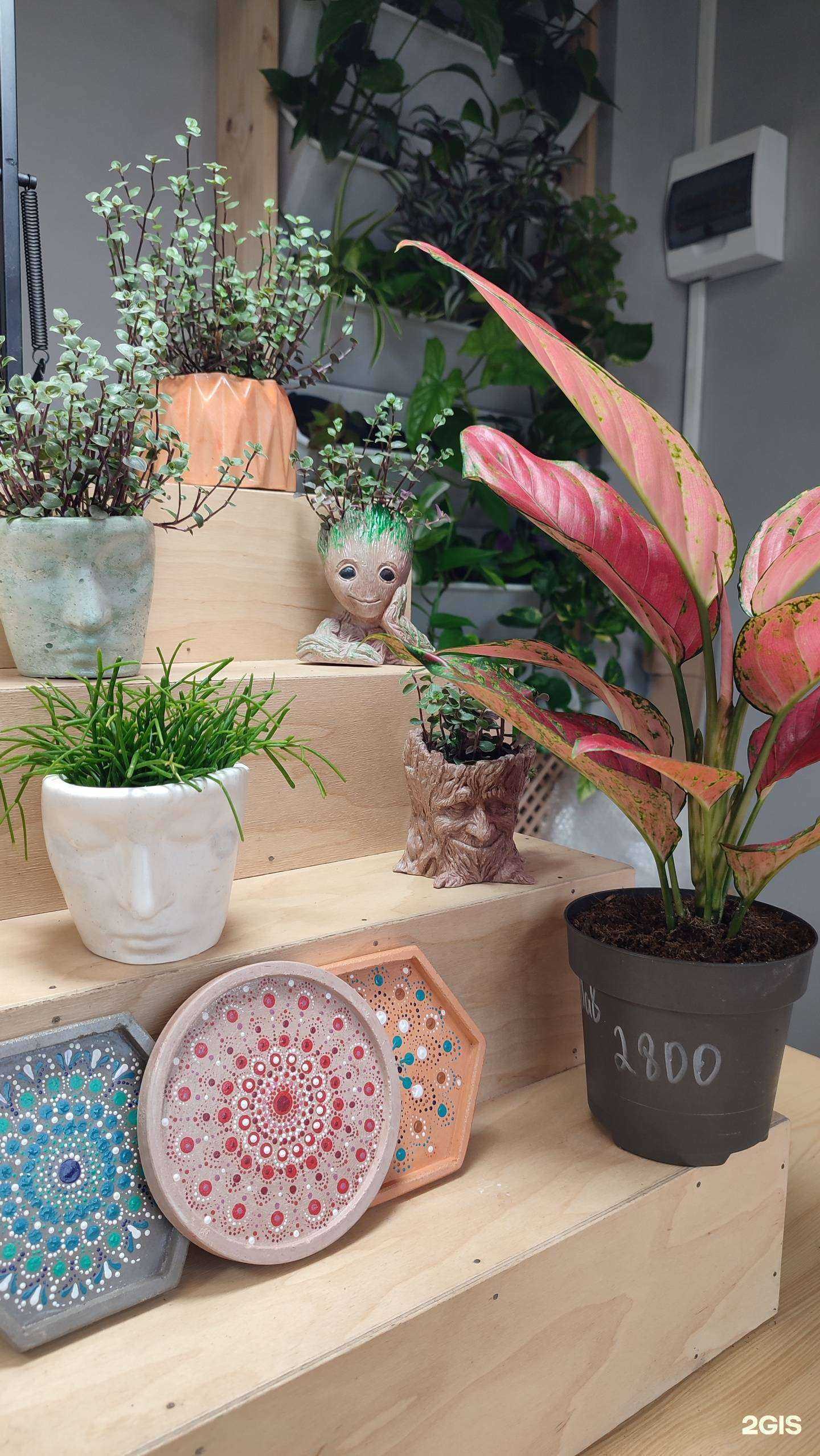 Отзывы на компанию Зелёный формат в г. Новороссийск c фото