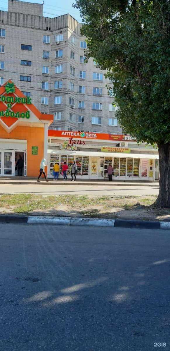 Отзывы на компанию Вита Экспресс в Воронеже c фото