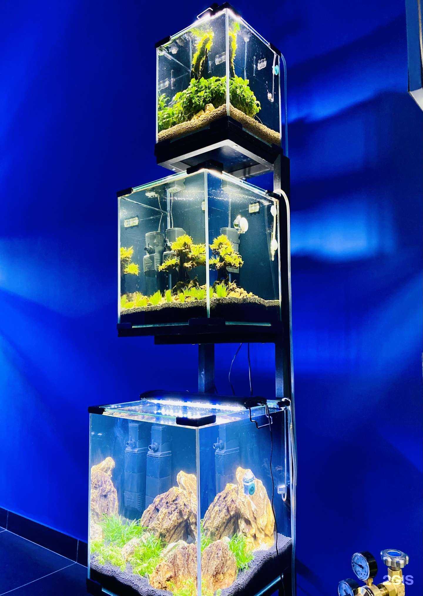 Отзывы на компанию Баловень в г. Новочебоксарск c фото