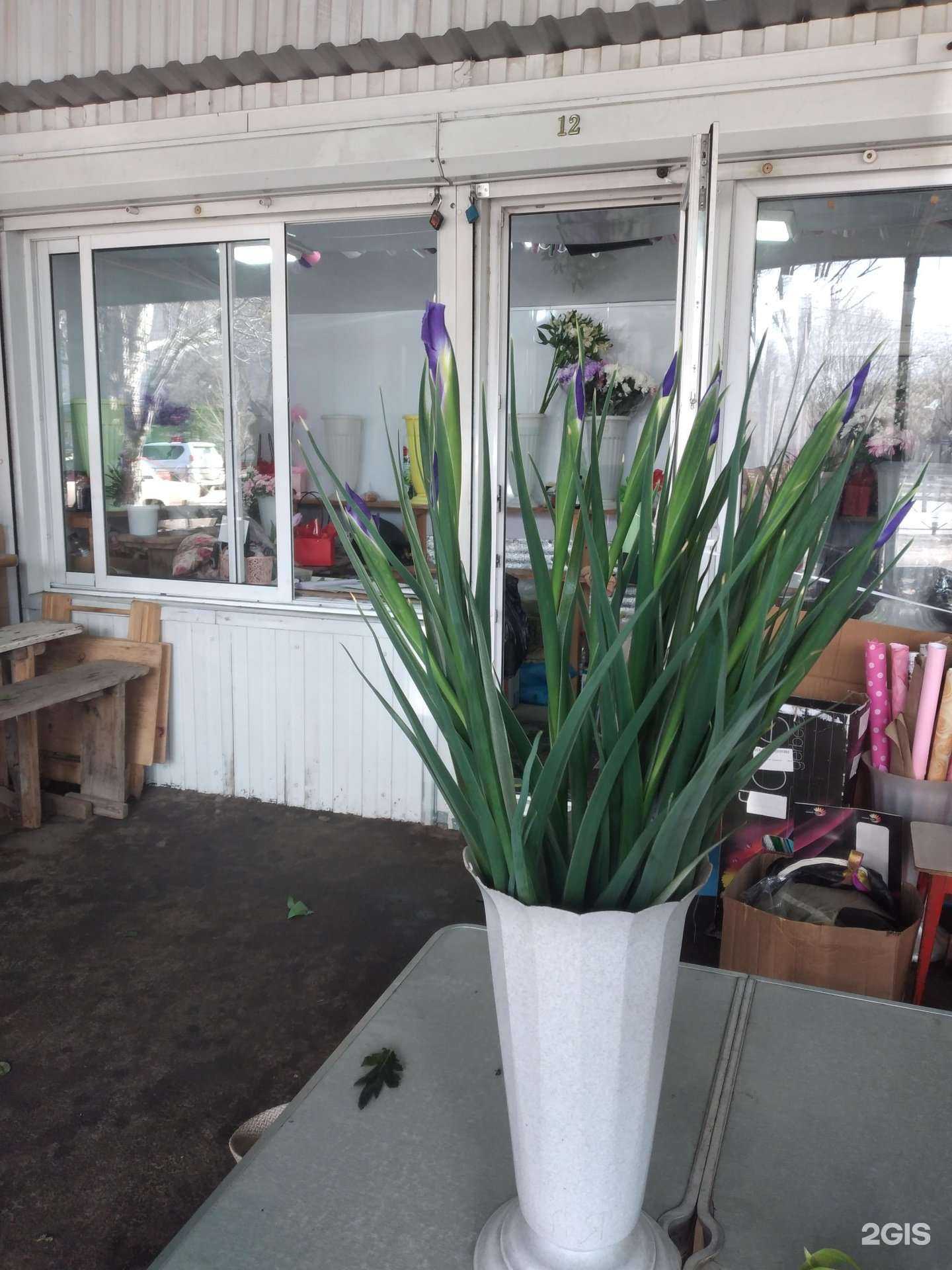 Отзывы на компанию Цветочная лавка в Волжском c фото