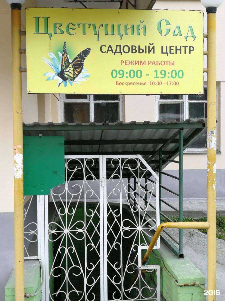 Отзывы на компанию Цветущий Сад в Новосибирске c фото