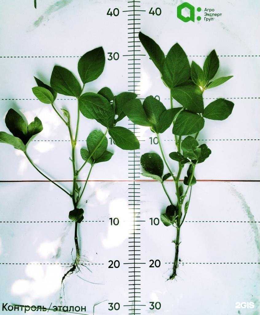 Отзывы на компанию Агро Эксперт Груп в г. Курск c фото