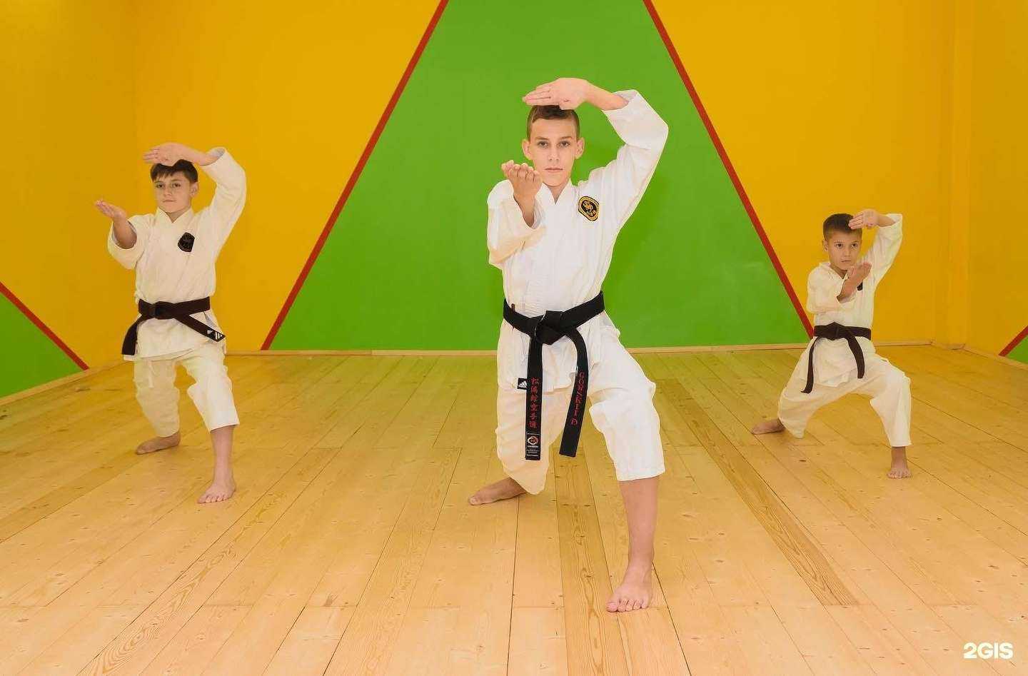 Отзывы на компанию Тульская региональная федерация традиционного каратэ в Туле c фото
