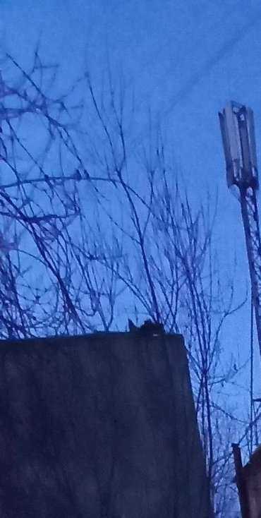 Отзывы на компанию ViKosmet в Ангарске c фото - фотография 2 из 2