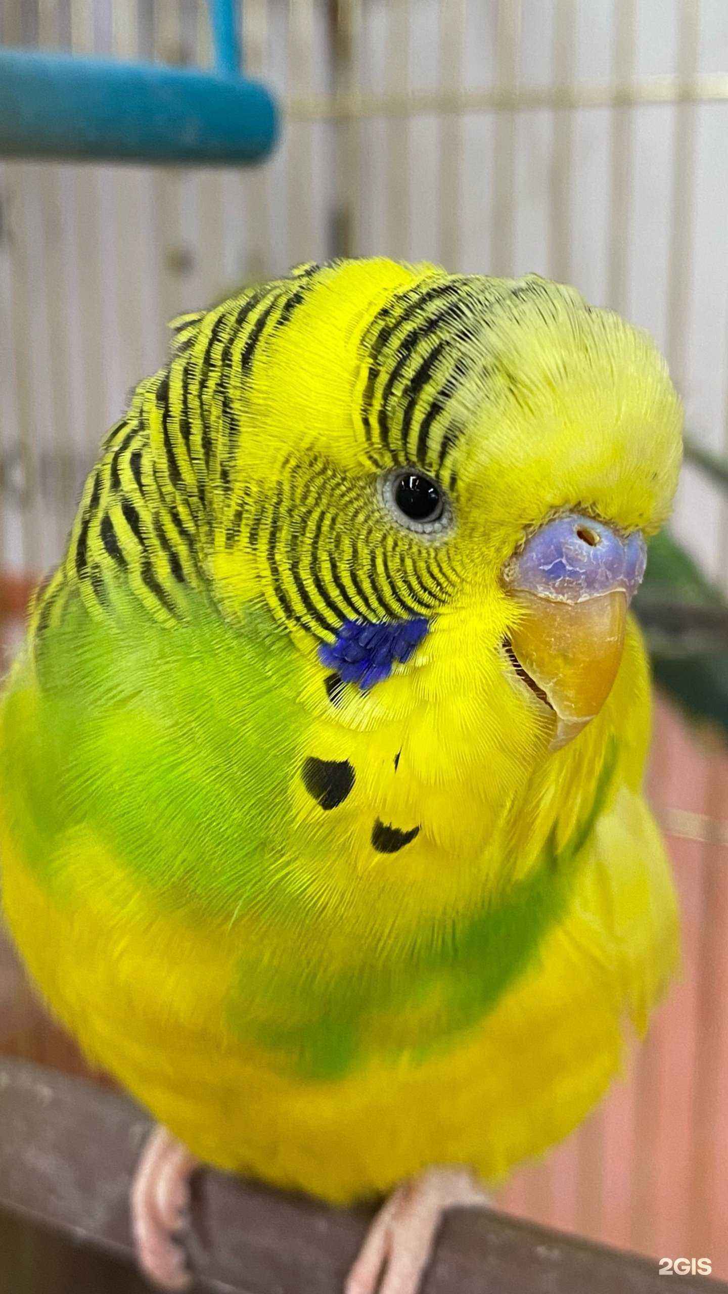 Отзывы на компанию Ле`муррр в Екатеринбурге c фото