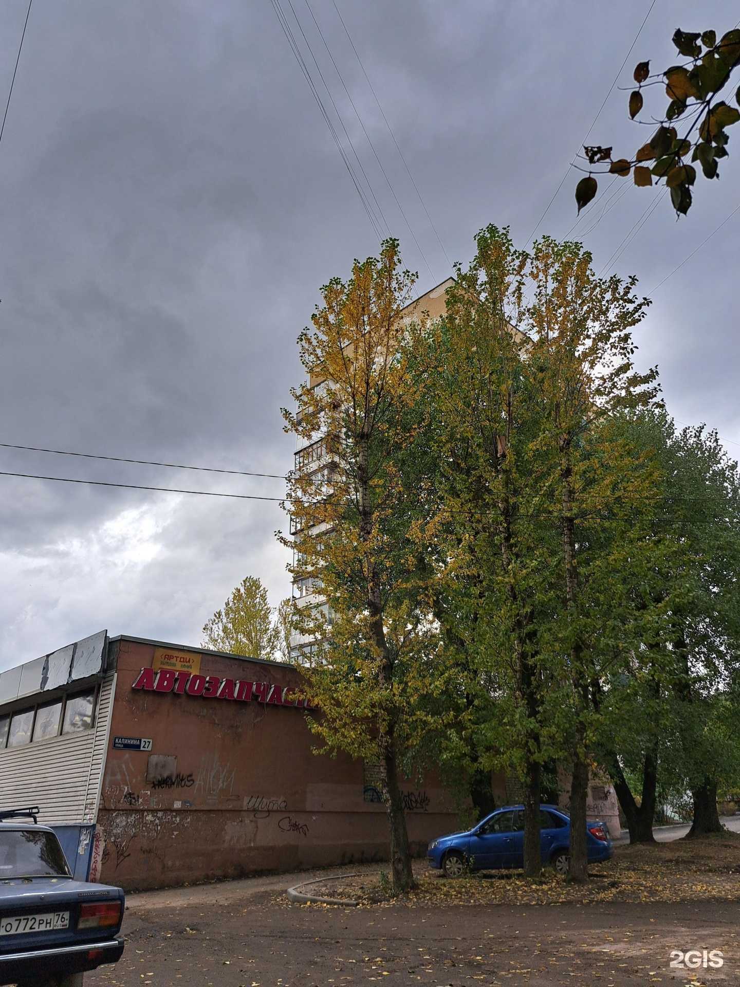 Отзывы на компанию Дунай в Ярославле c фото - фотография 2 из 2