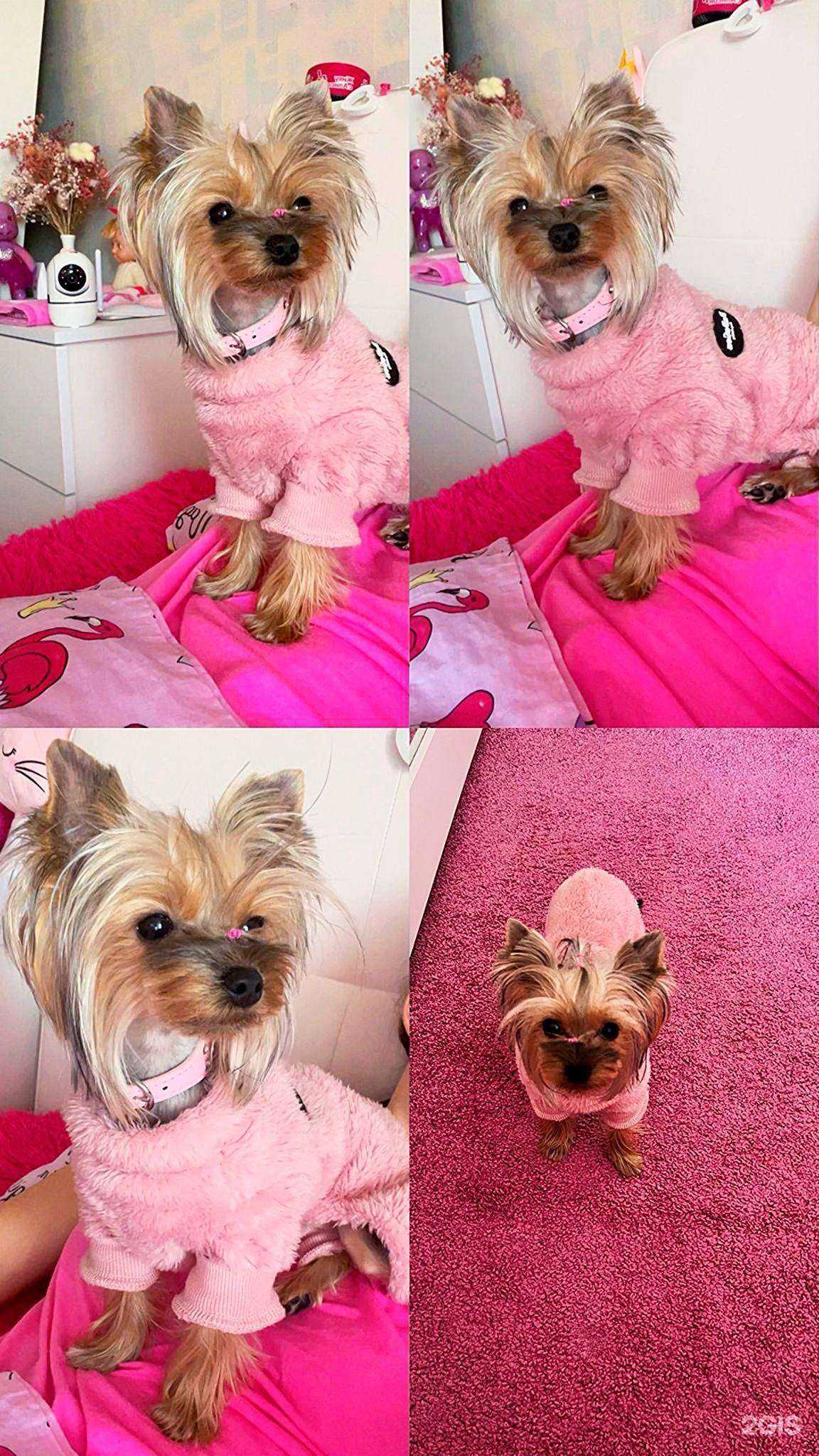 Отзывы на компанию Гарфилд в Ижевске c фото