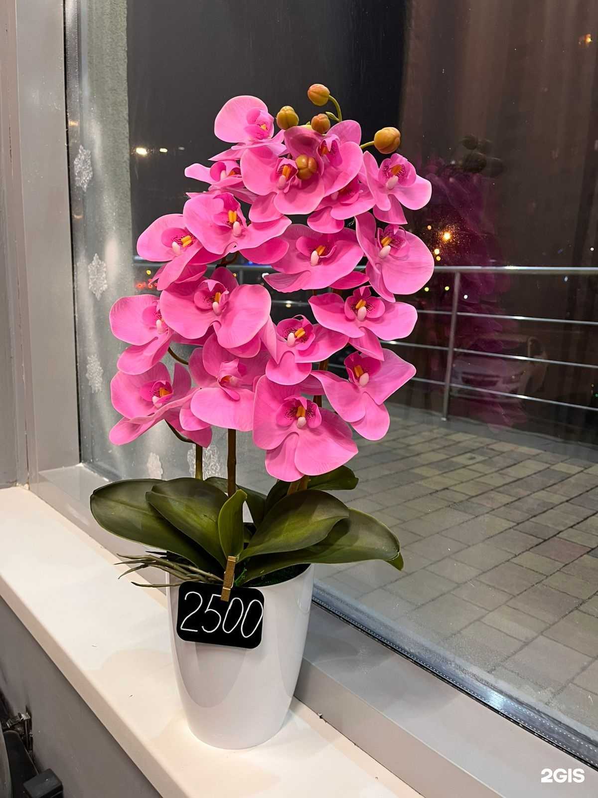 Отзывы на компанию Д’Флора в Белгороде c фото