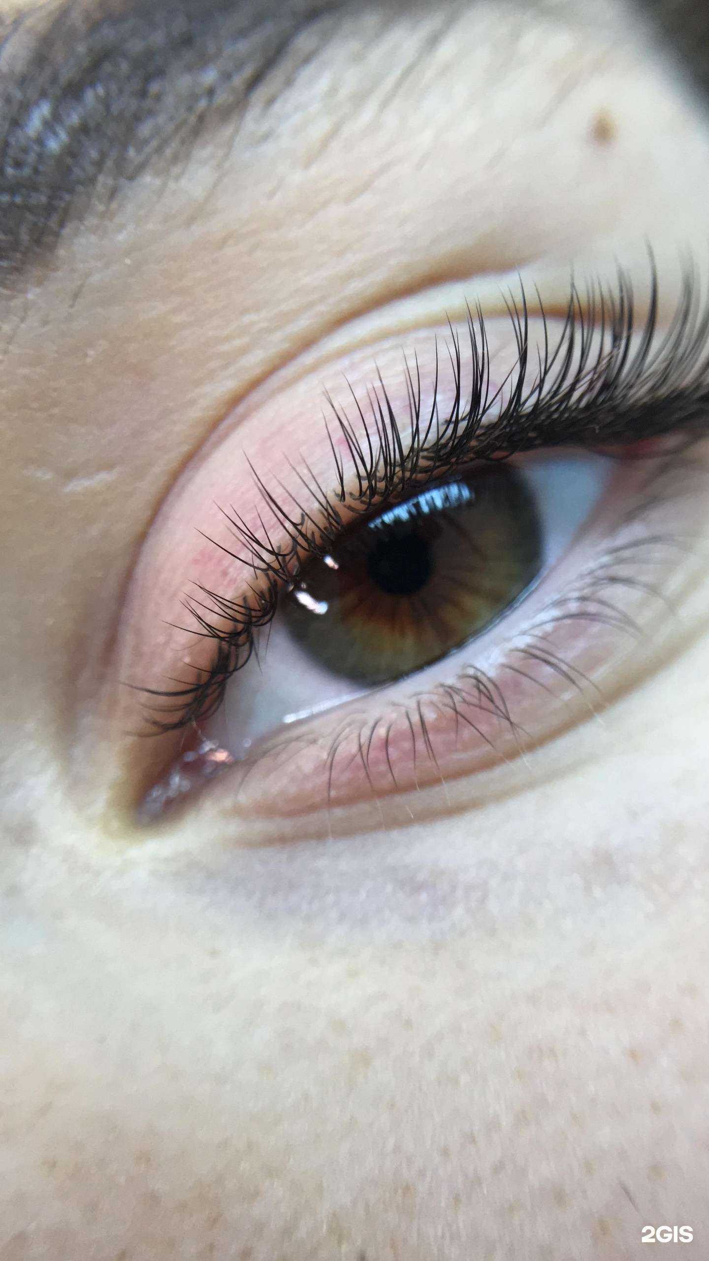 Отзывы на компанию Studio tu katt в Новосибирске c фото