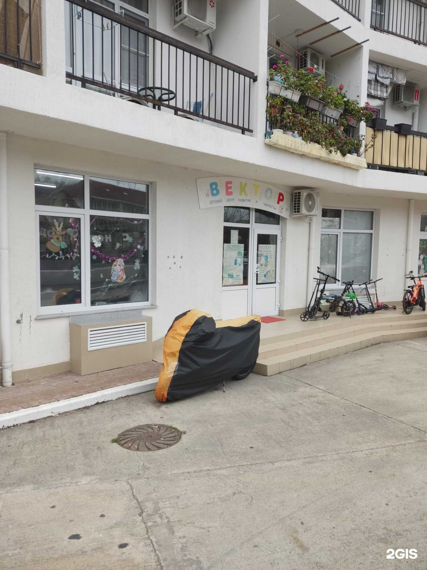 Отзывы на компанию Вектор в г. Сочи c фото