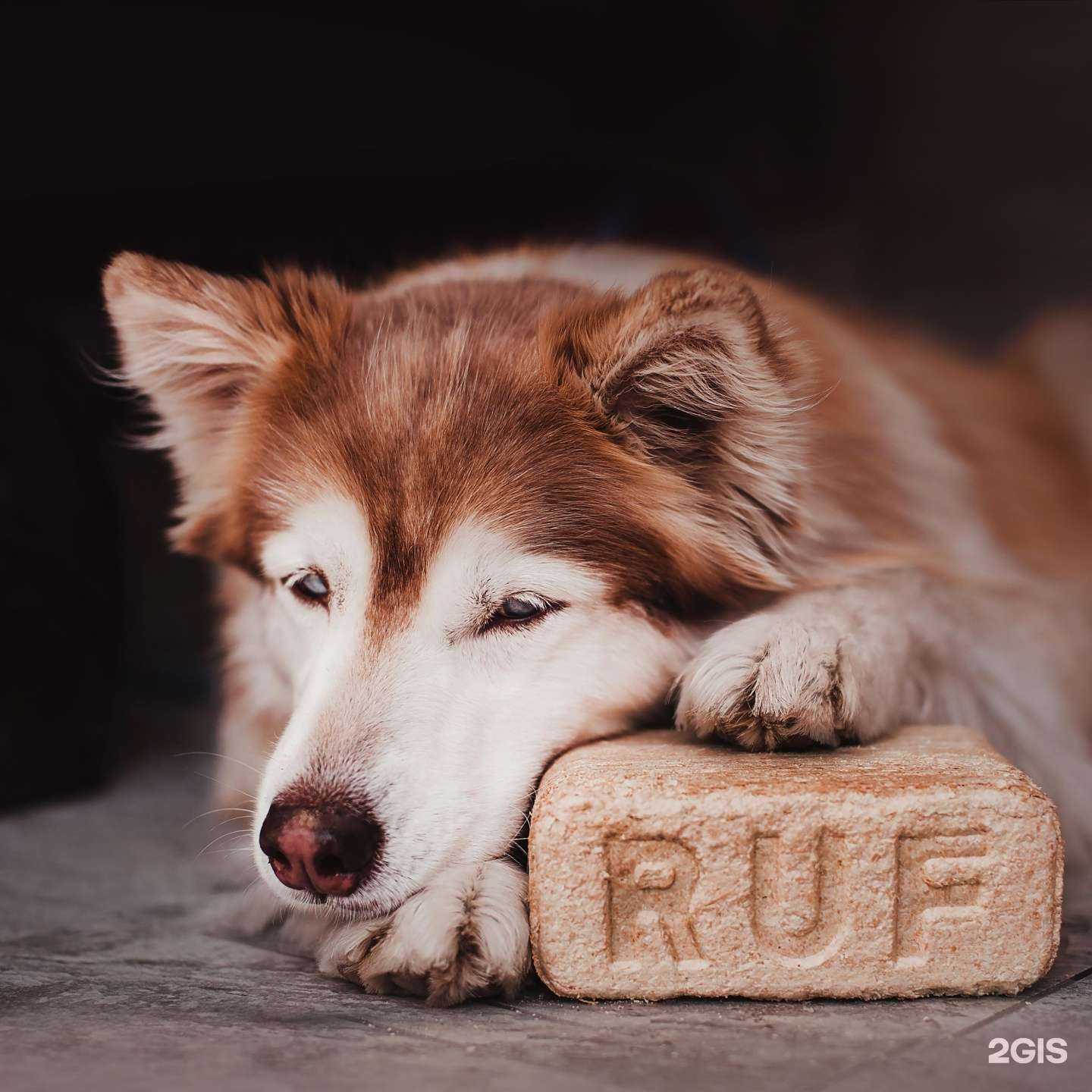 Отзывы на компанию Сосновая Линия в г. Хабаровск c фото