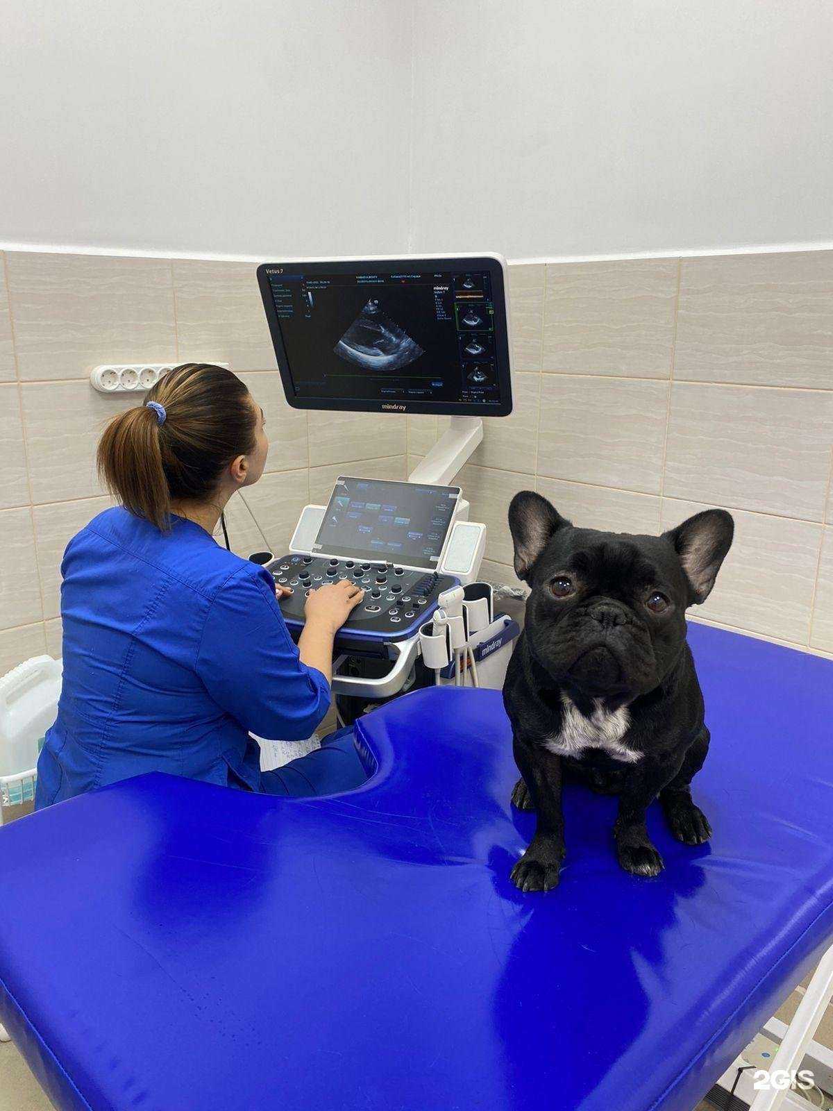 Отзывы на компанию Друг в г. Невинномысск c фото